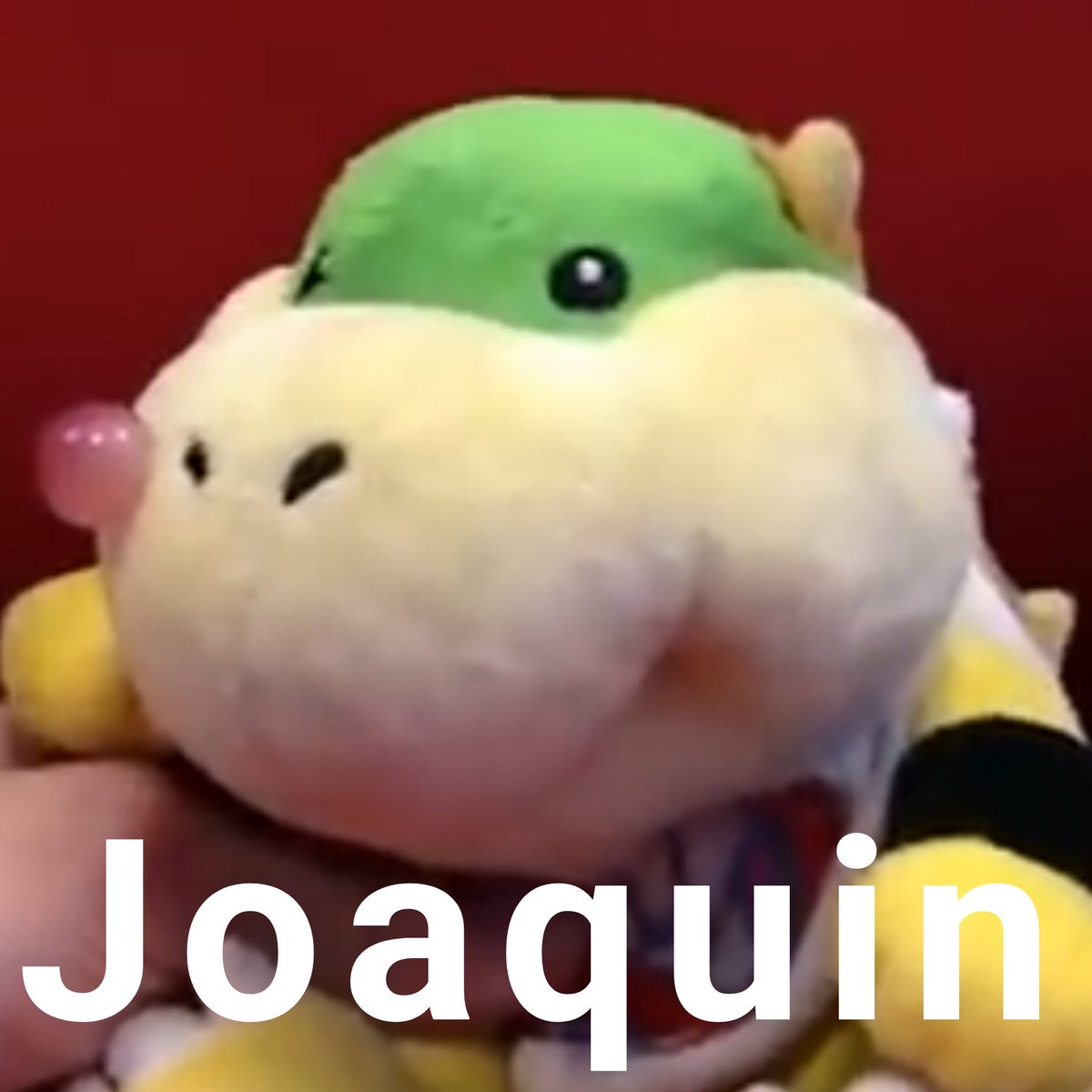 Duosins Moonsers (Moon Direct 2) (@duosinsmoonsers) on Twitter photo 