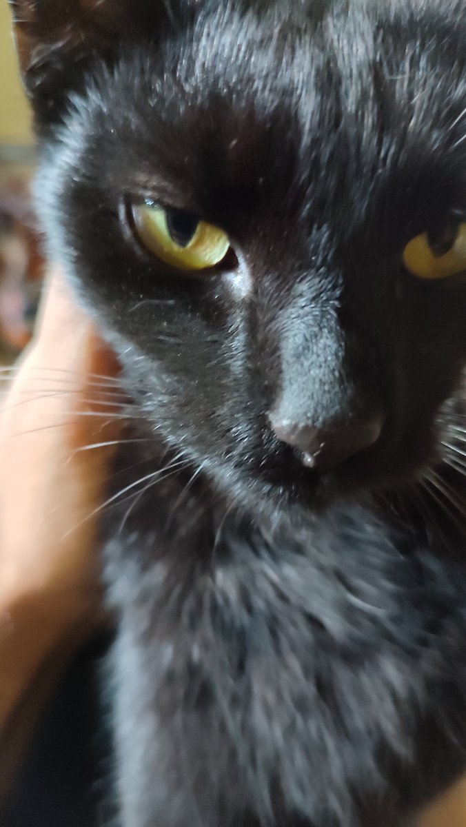 Anand Madhvani tweet media