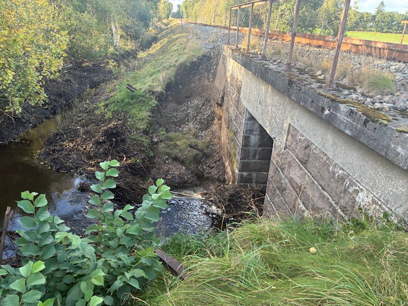 En jernbanebro i Aulum har fået en fejl og er under udbedring. Der kører ingen tog ml. Aulum og Struer til og med søndag. Årsag? Formentlig en flittig bæver, der har opført sin egen dæmning i bækken under broen, som har ændret vandstrømmen og svækket funderingen🦫Tjek Rejseplanen