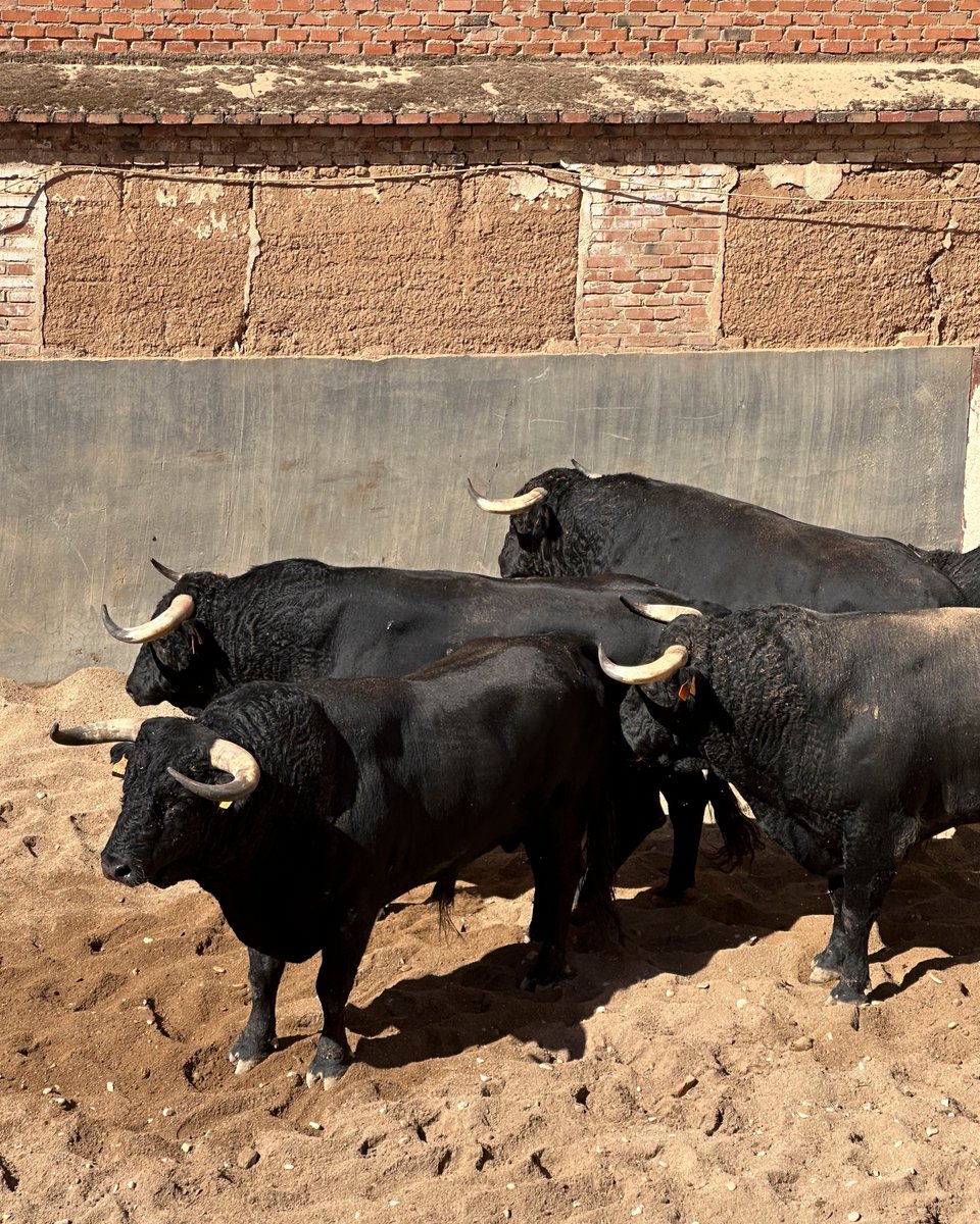 Funtausa tweet media