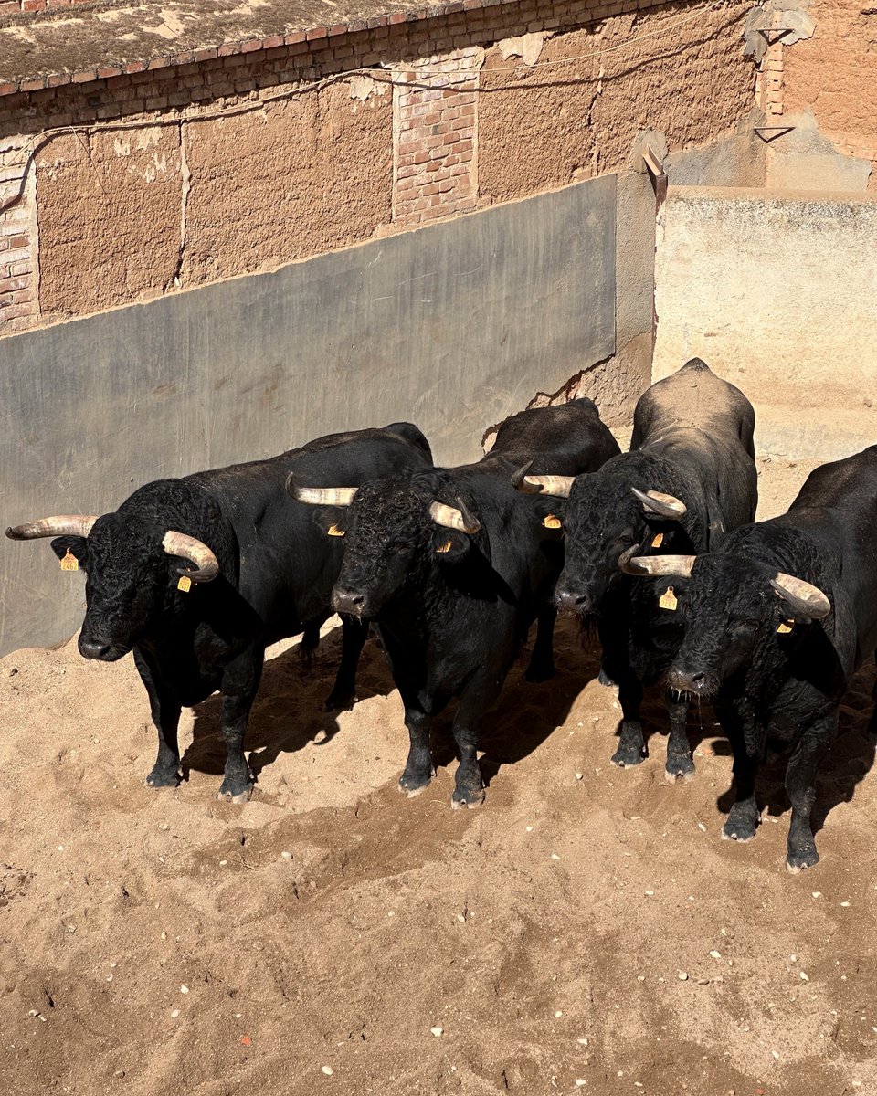 Funtausa tweet media