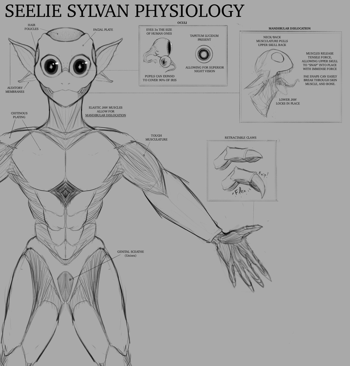 🍞Magbread🍞 tweet media