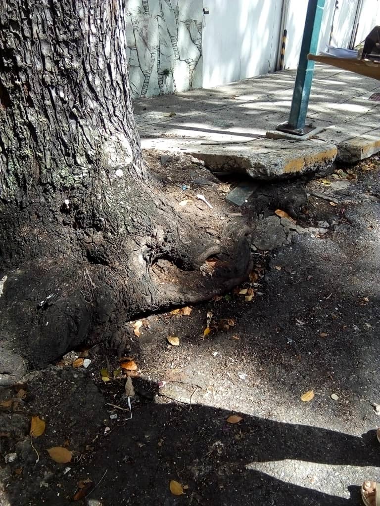 Maria Molina tweet media