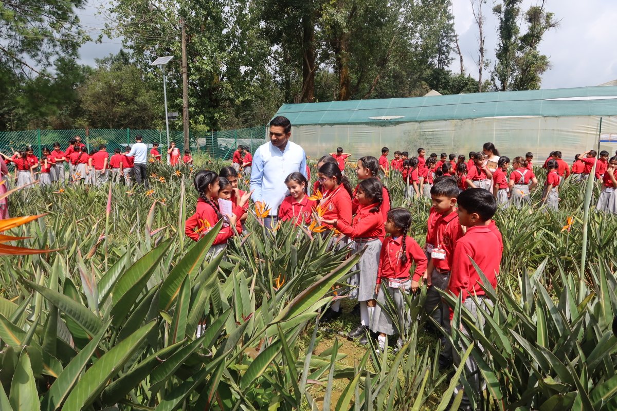CSIR-Institute of Himalayan Bioresource Technology tweet media
