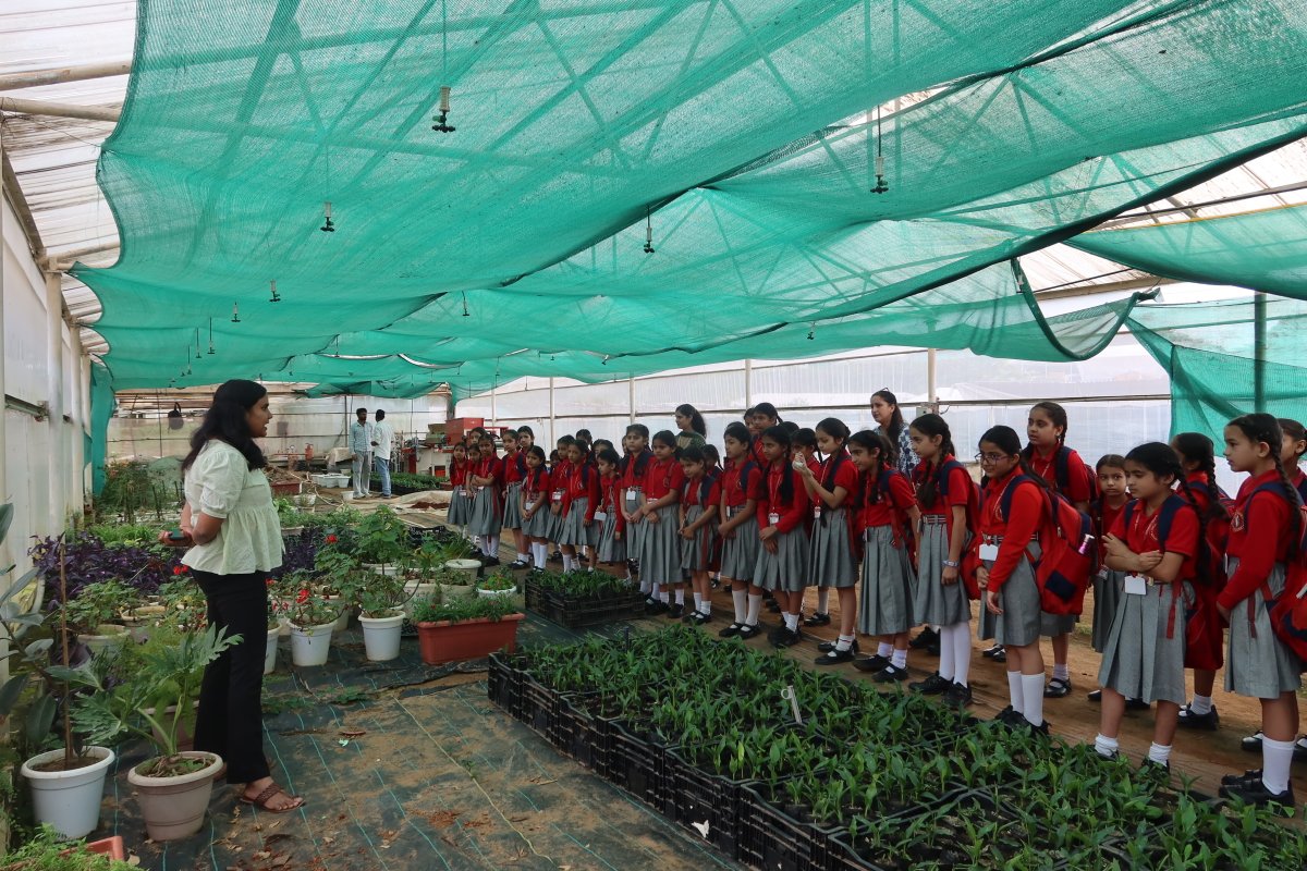 CSIR-Institute of Himalayan Bioresource Technology tweet media