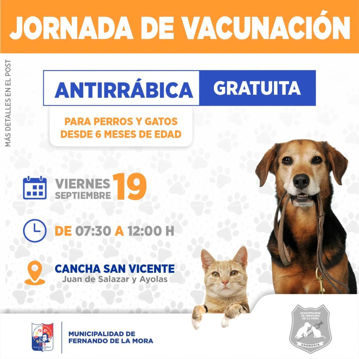 Municipalidad de Fernando de la Mora tweet media