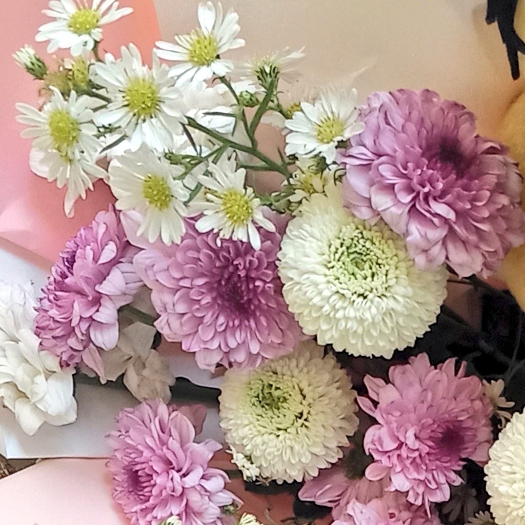 markeuiw's tweet photo. 🌸🍥💐💌 https://t.co/AkaPuziI6v