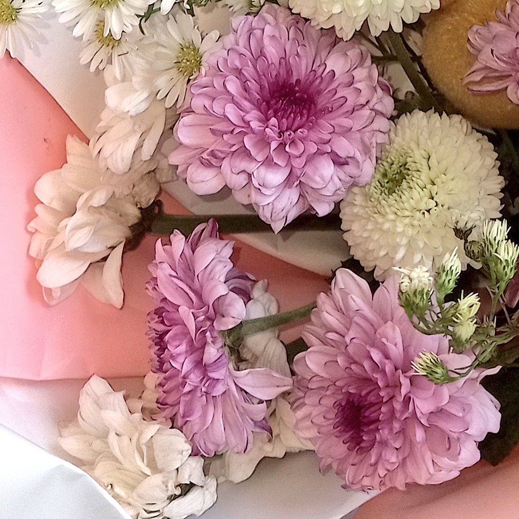 markeuiw's tweet photo. 🌸🍥💐💌 https://t.co/AkaPuziI6v