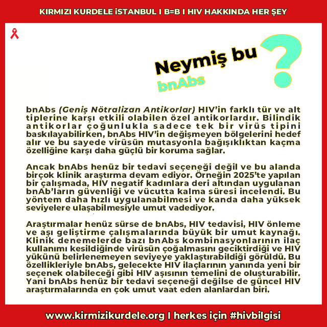 RedRibbonTR's tweet photo. -HIV tedavi ve รถnleme araลtฤฑrmalarฤฑ alanฤฑnda giderek daha sฤฑk duyulan bnAbs nedir?
-HIV pozitifler ve HIV negatifler iรงin ne anlam ifade eder?
(*bnAbs: Geniล Nรถtralizan Antikor)
https://t.co/YYDmIFnjKE
herkes iรงin #hivbilgisi
#hivhakkindahersey
#hivindogrusu
#beลittirb
#bnabs https://t.co/kBl2yQQj9R