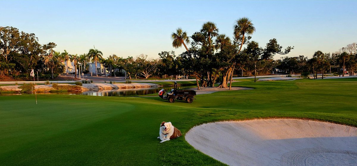 john reilly tweet media