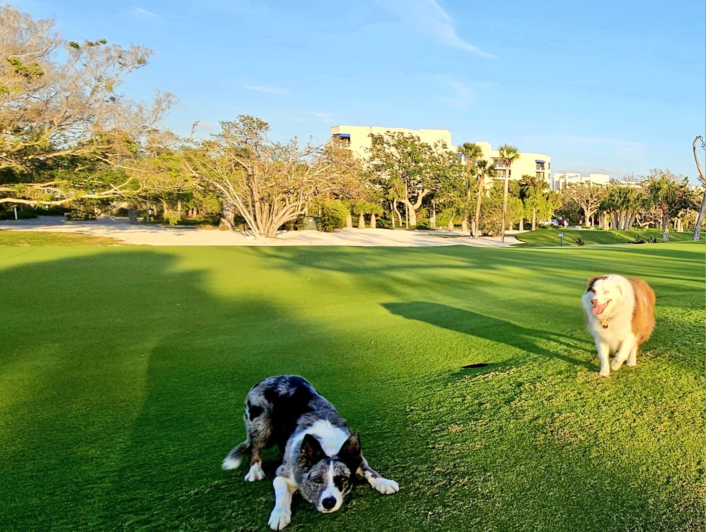 john reilly tweet media