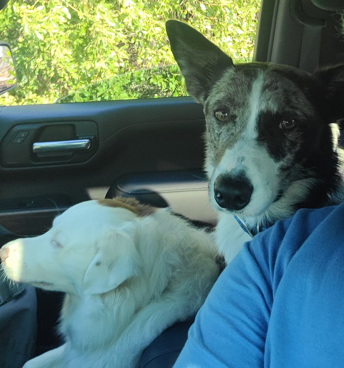 john reilly tweet media