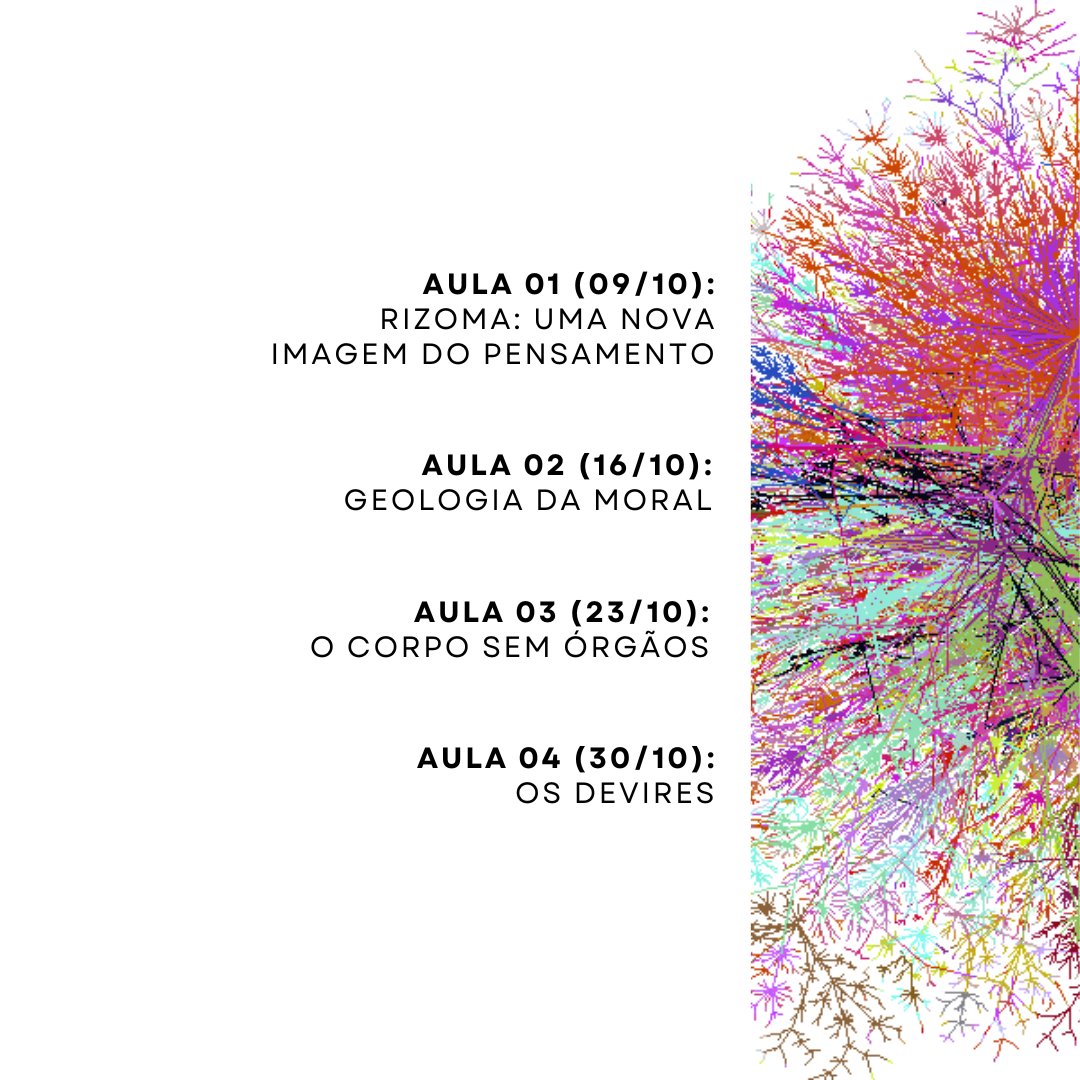 Instituto Estudos do Presente tweet media