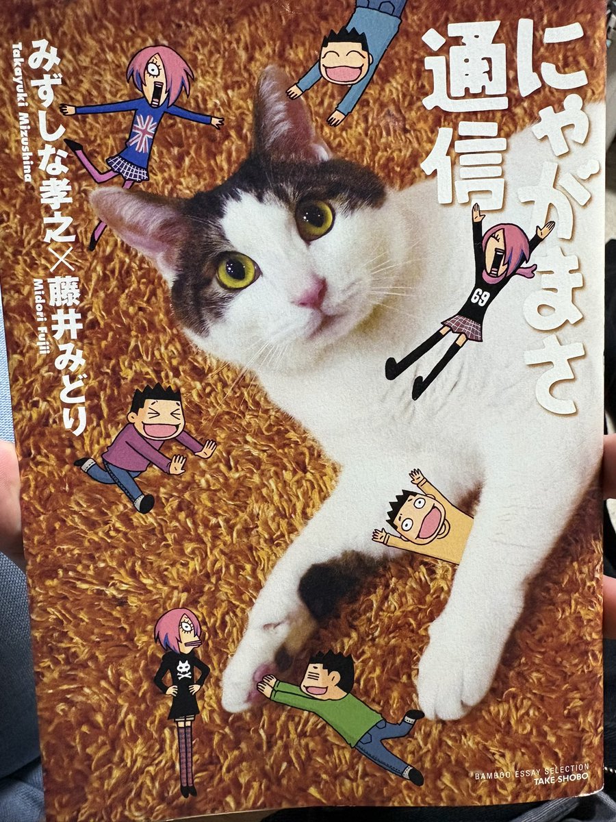 Yuji Ashik… の描いた猫　BARで飲む猫(人) Ryuhei Takagi @Sin Decade Vocal & Guitar on X: 