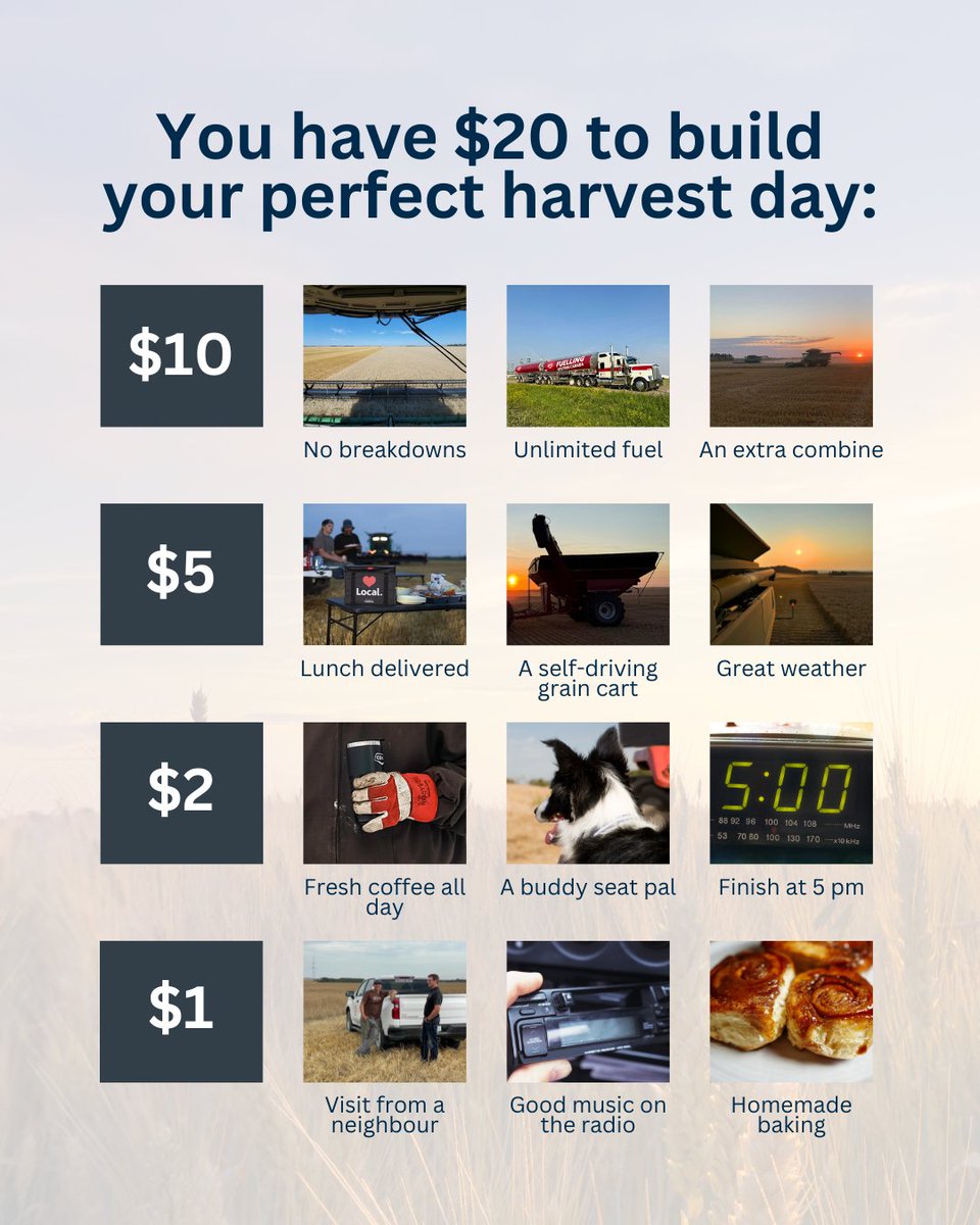 What would your perfect harvest day look like? 😄