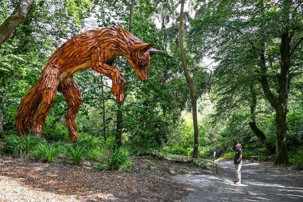 Protect the Wild (@protectthewild_) on Twitter photo A tree that was blown down during a winter storm has been turned into a 6m (19.7ft) sculpture of a pouncing fox at a Cornish gardens! A tree that was blown down during a winter storm has been turned into a 6m (19.7ft) sculpture of a pouncing fox at a Cornish gardens!