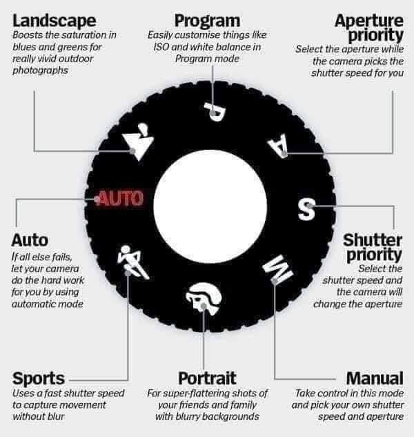 #カメラ #絞り #ISO