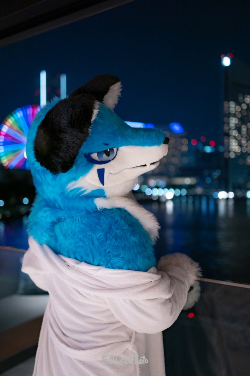 もう一度欲しがって

📷<a href="/Lacotot/">Laco🐼📷➡️Infurnity2025</a> 
#FursuitFriday