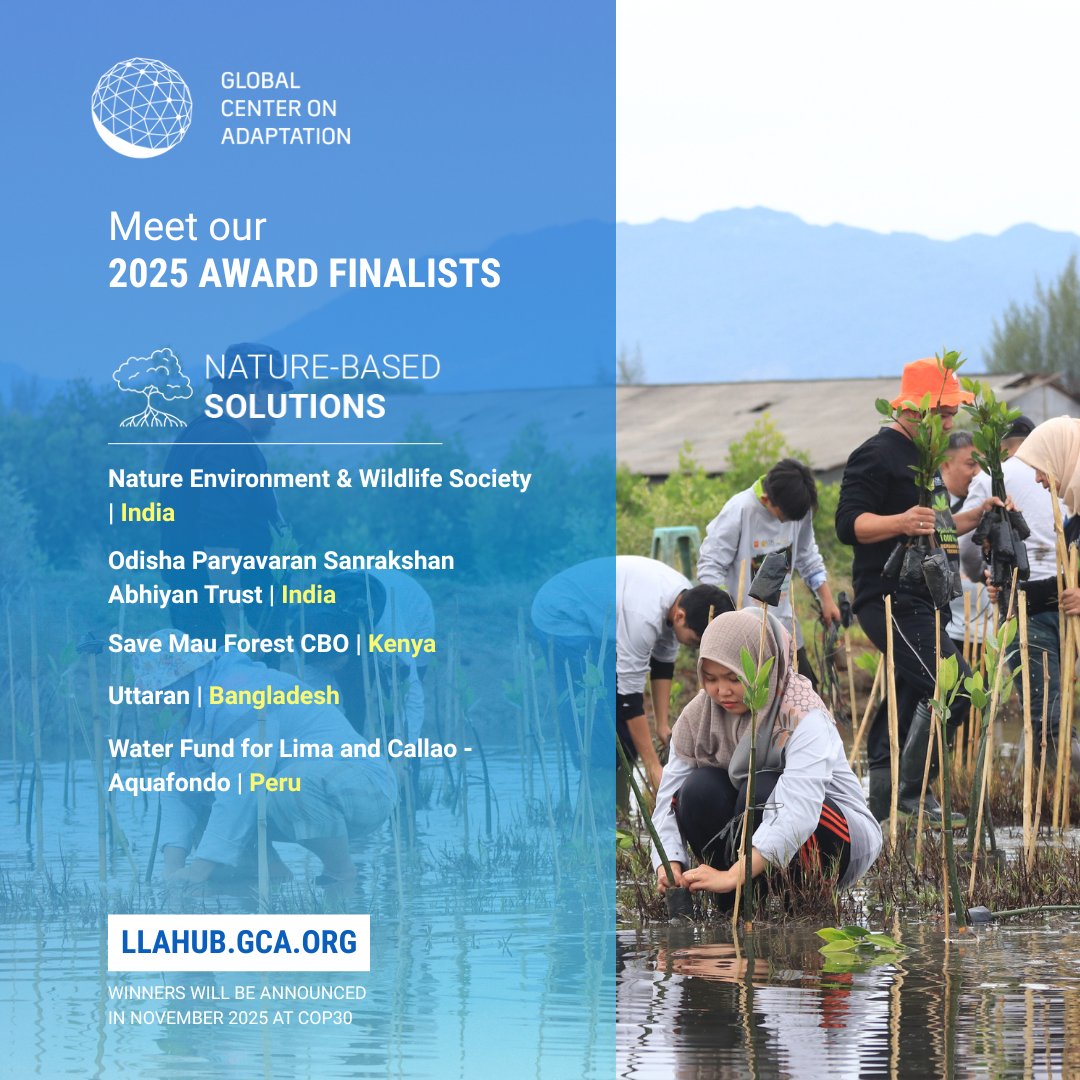 Global Center on Adaptation (@gcadaptation) on Twitter photo Meet the finalists for the Nature-Based Solutions category of the 2025 Local Adaptation Champions Awards:
๐น Nature Environment & Wildlife Society <a href="/NNaturewildlife/">NEWS_naturewildlife</a>
๐น Odisha Paryavaran Sanrakshan Abhiyan Trust <a href="/OdishaSeaTurtle/">Odisha Paryavaran Sanrakshan Abhiyan Trust</a>
๐น Save Mau Forest CBO <a href="/save_mau/">Save Mau Forest Initiative</a>
๐น Uttaran Meet the finalists for the Nature-Based Solutions category of the 2025 Local Adaptation Champions Awards:
๐น Nature Environment & Wildlife Society <a href="/NNaturewildlife/">NEWS_naturewildlife</a>
๐น Odisha Paryavaran Sanrakshan Abhiyan Trust <a href="/OdishaSeaTurtle/">Odisha Paryavaran Sanrakshan Abhiyan Trust</a>
๐น Save Mau Forest CBO <a href="/save_mau/">Save Mau Forest Initiative</a>
๐น Uttaran