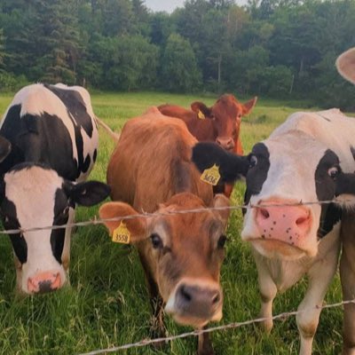 Soda679057's tweet photo. #NewProfilePic https://t.co/qRRqkYRBq3