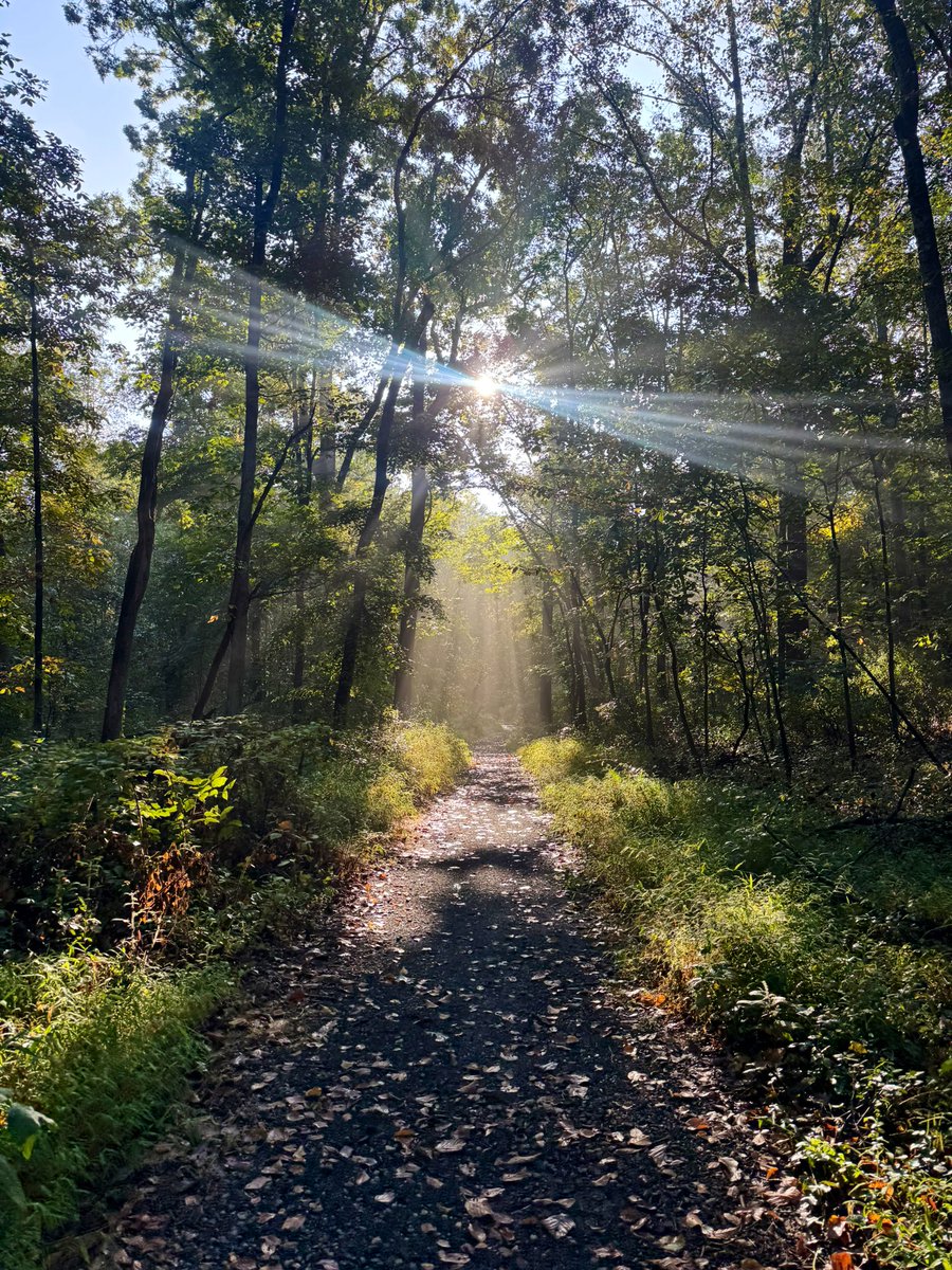 MilePosts's tweet image. Thursday.