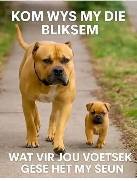 BarneySimon's tweet image. Love it!