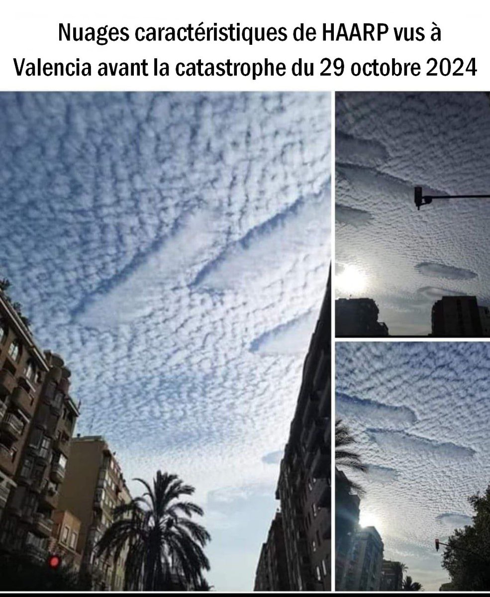 <a href="/Shteed1/">Shteed 🛡⚔🛩😼</a> C'est sûr que BFMerde TV ne vous  pas comment ils sont fabriqués...
