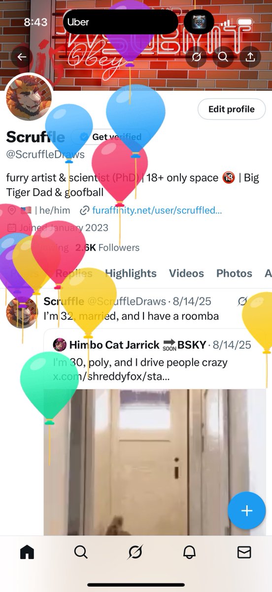 Scruffle 🔜 ANE tweet media