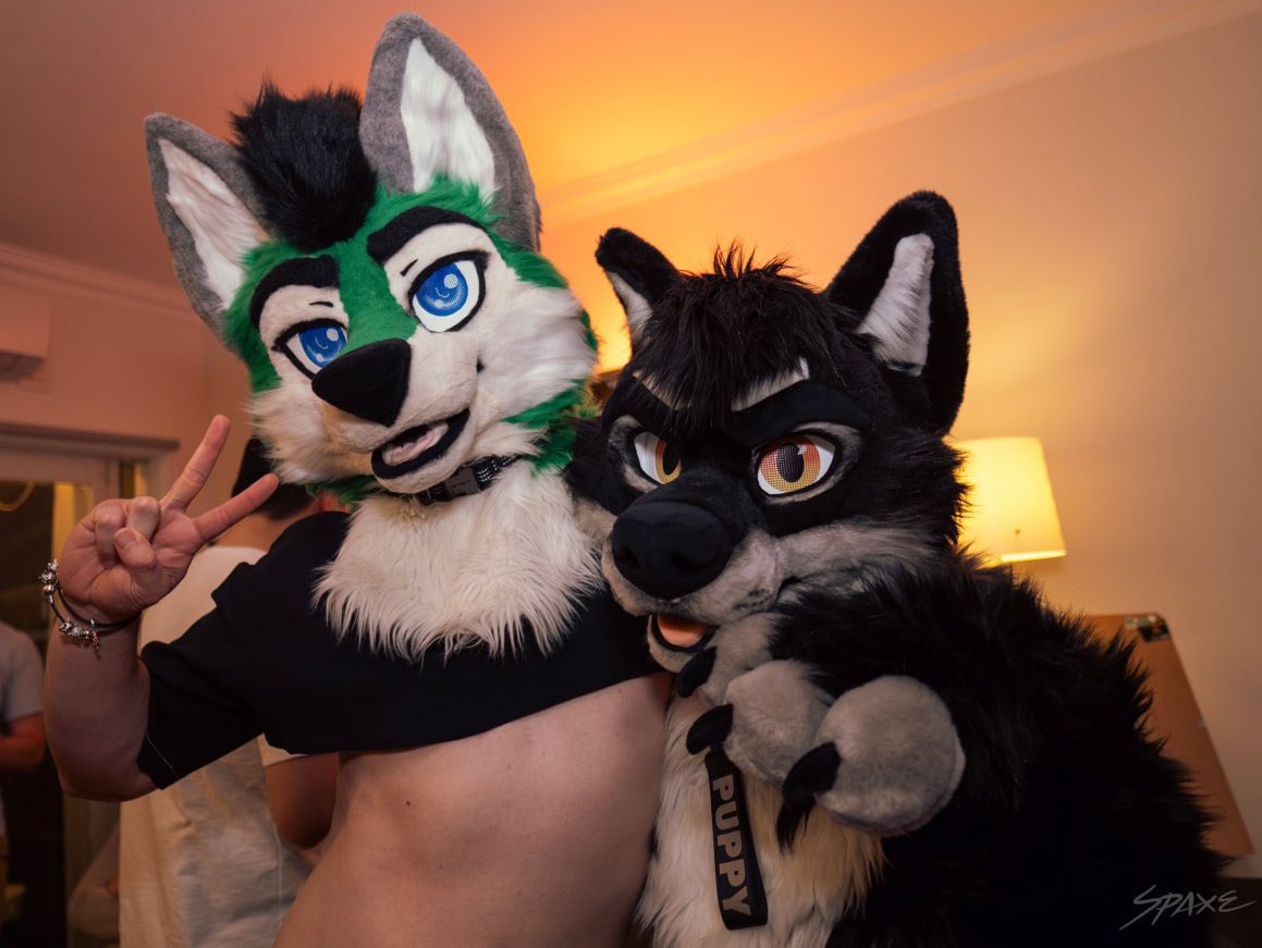 Torani_Wolf's tweet photo. Who let the dawgs out??~ 💜

🐕 - @zet_soku 
📸 - @xavier_ho https://t.co/EJSj35XWQx