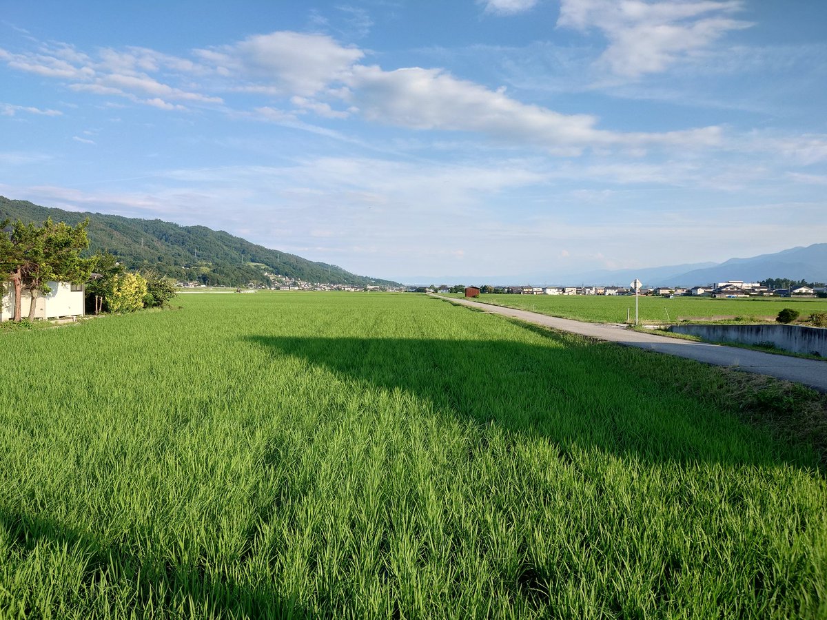 hirotsu_mori's tweet photo. こんばんは🌛
今週の活動はお休みでした
本日は広津のすばらしい景色を
お楽しみください〜！
#広津はいいぞ #池田町 #広津の杜 #長野大学 https://t.co/NGIGU8uF05