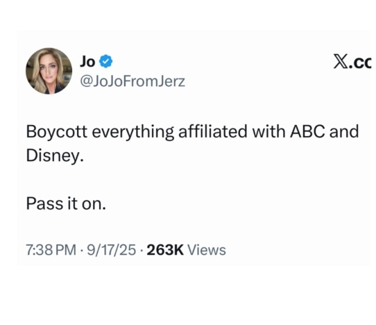 LangmanVince's tweet image. We did it, guys! 

We got the crazy left to boycott ABC, and Disney 🤣🤣🤣🤣🤣🤣

That will teach us a lesson! 🤣