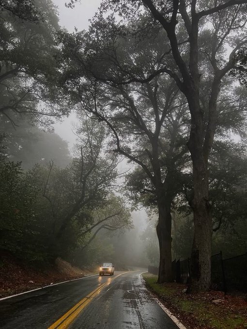 elemmiressoul's tweet image. gloomy day.