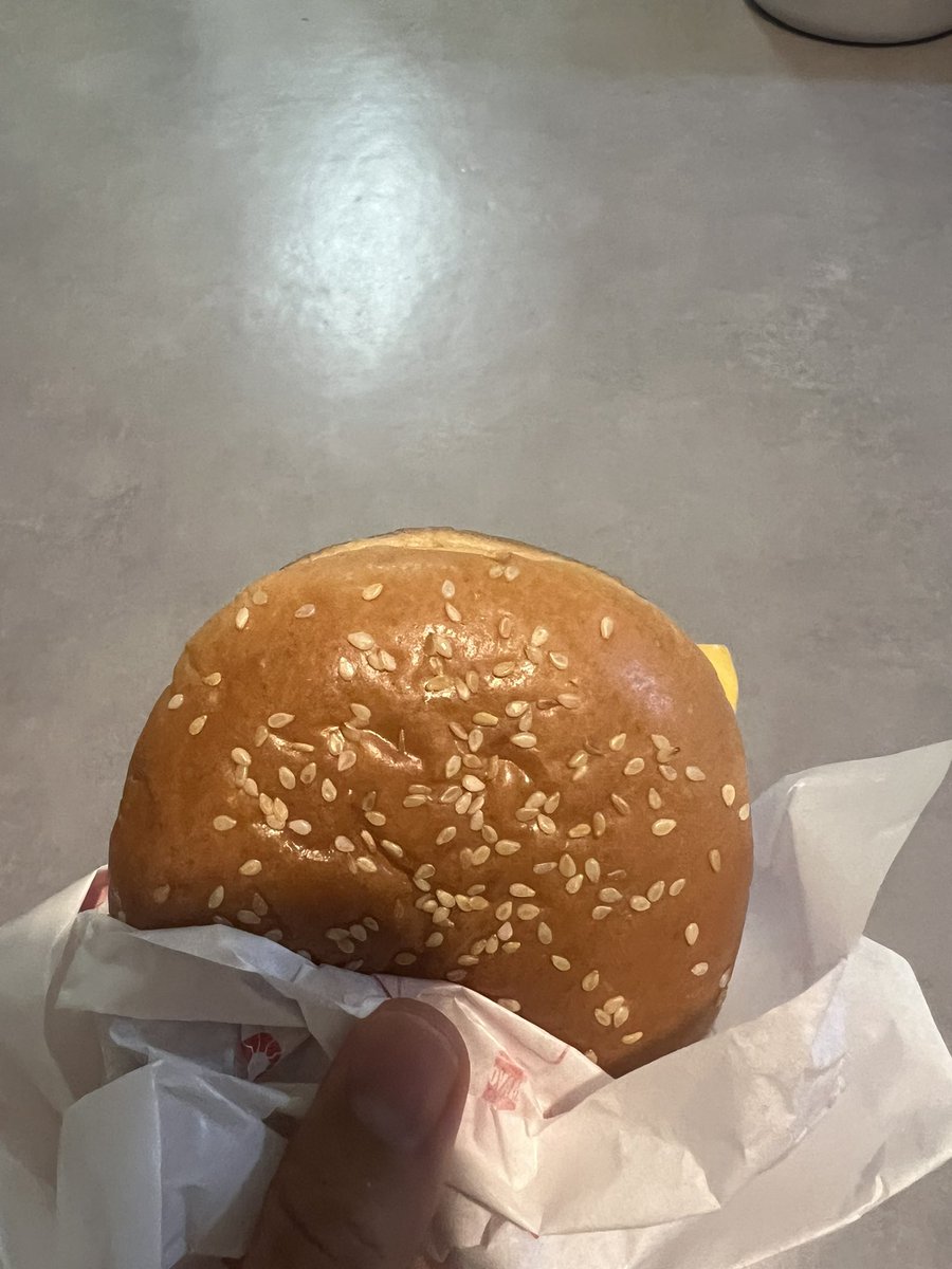 오늘은 치즈버거의 날