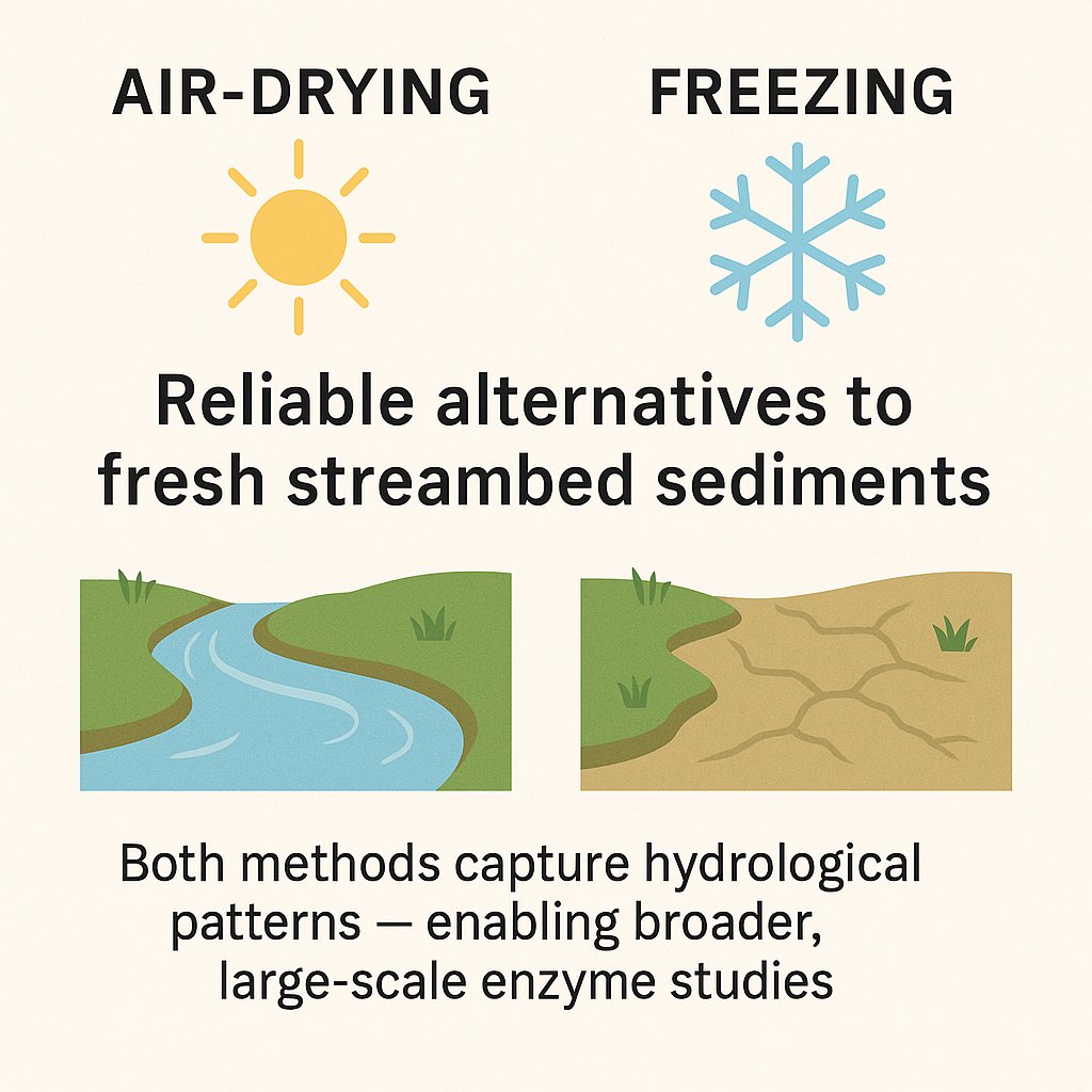 🥳Happy to share our new paper in FWB 👇

We demonstrate that air-drying 🌞&amp; freezing ❄️ are reliable methods ➡️alternatives to fresh streambed sediments ⬅️ for enzyme activity analyses in streams.

🔊Opening the way for broader, large-scale studies 🌍

🔗 doi.org/10.1111/fwb.70…