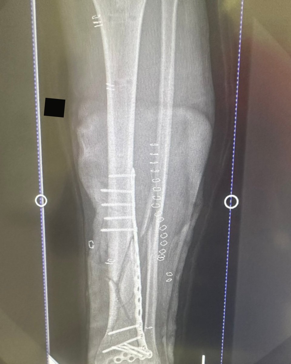 Charlie 'Ramen Space’ Ward 🍜 (ramenspace.com) tweet media