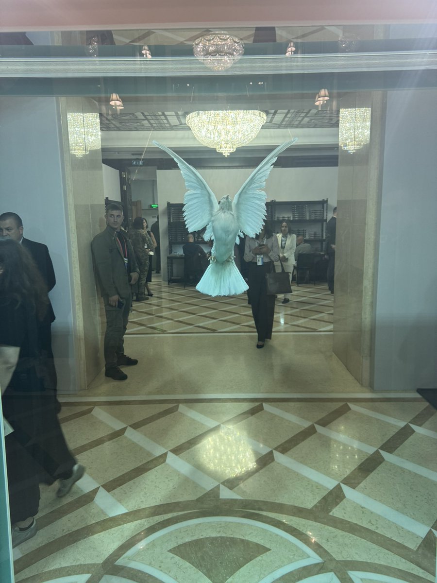 Bryce Wakefield tweet media