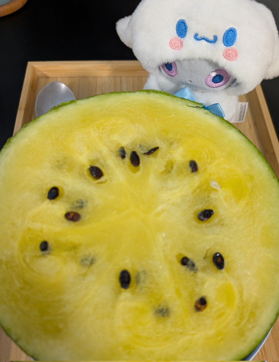 💛🍉