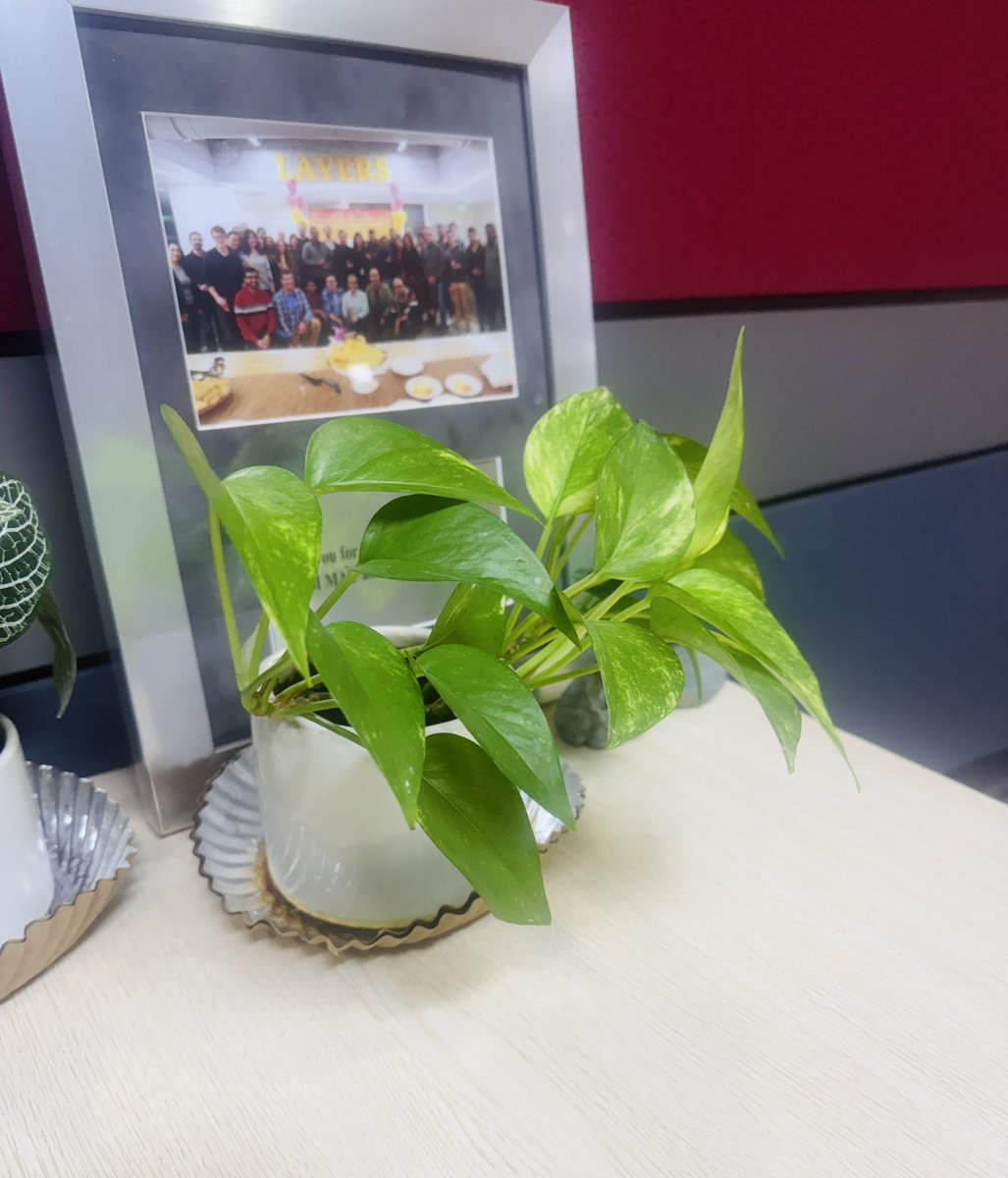 Ashu Mittal 📸 tweet media