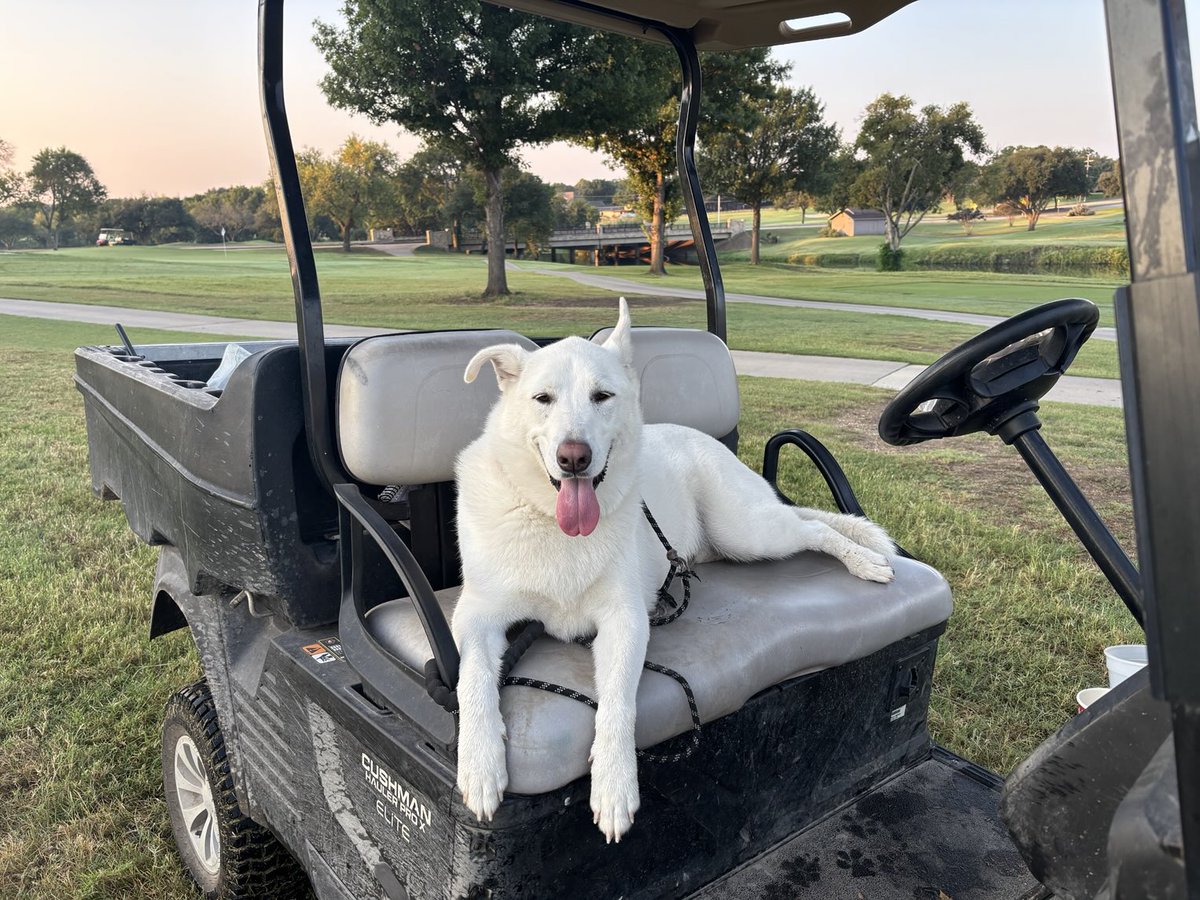 Lucy! #canyoncreekcc