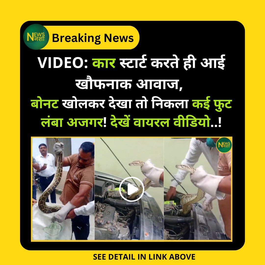 newsnasha's tweet image. Video: कार स्टार्ट करते ही आई खौफनाक आवाज, बोनट खोलकर देखा तो निकला कई फुट लंबा अजगर! देखें वायरल वीडियो..!
पूरा Video -> newsnasha.com/uttar-pradesh-…
#UttarPradesh #Bijnor #PythonRescue #ViralVideo #SnakeAlert @TheViralFever @Fun_Viral_Vids @ViralPosts5 @ViralMedia247…