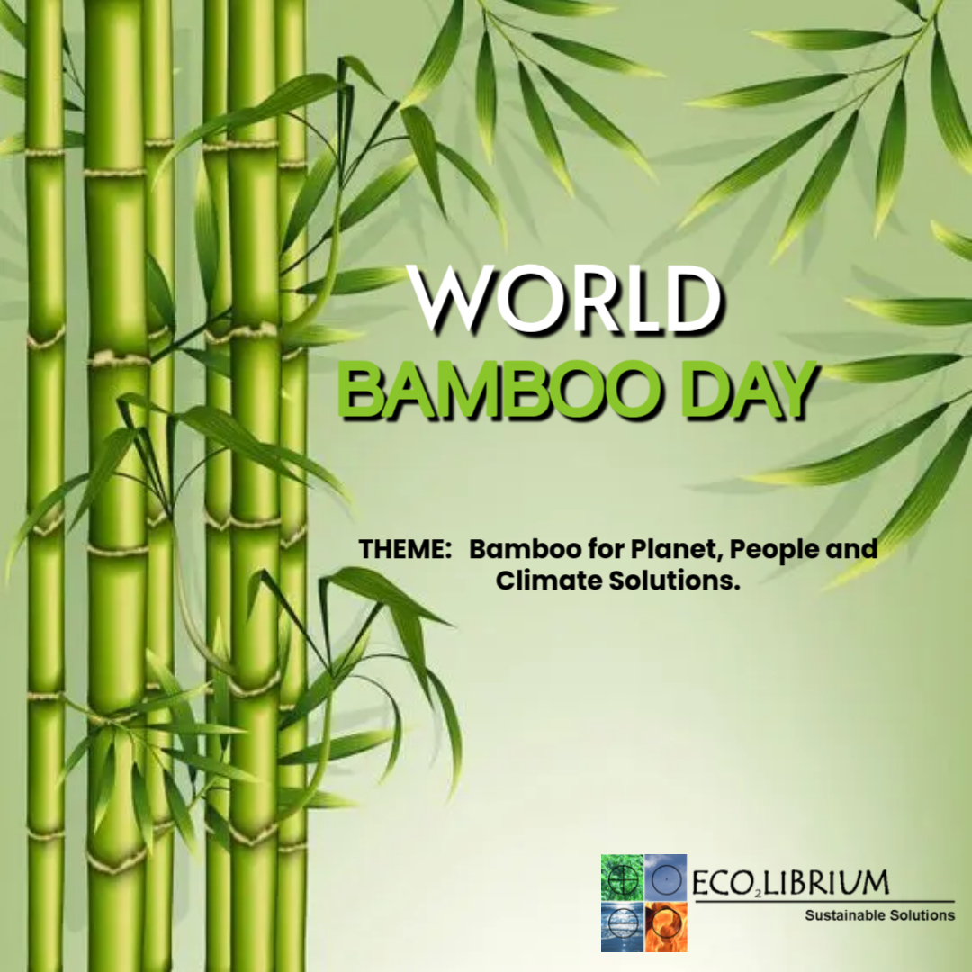 eco2librium tweet media