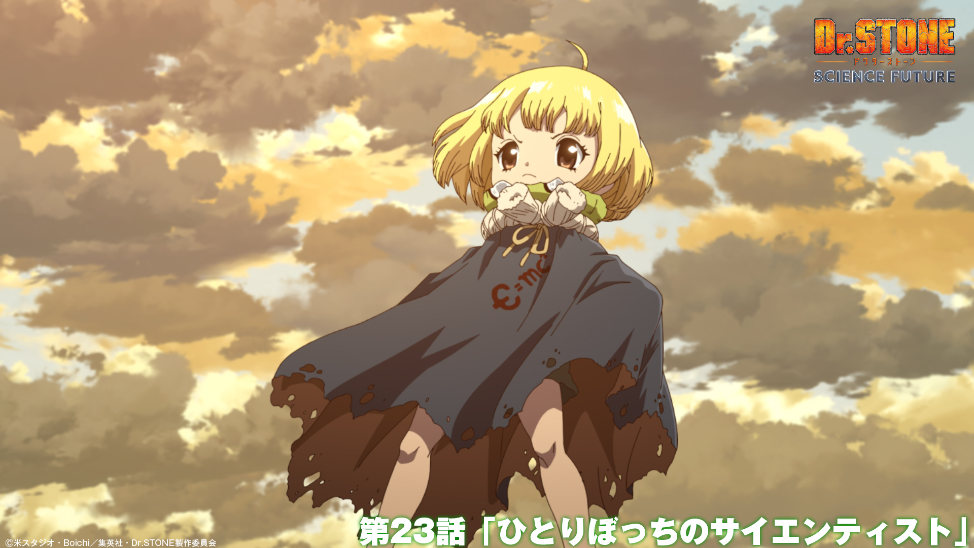 【即決】 STONE  ストーンアイランド 国内限定 ポスター 445a72402c7e180b18cd275306afe6