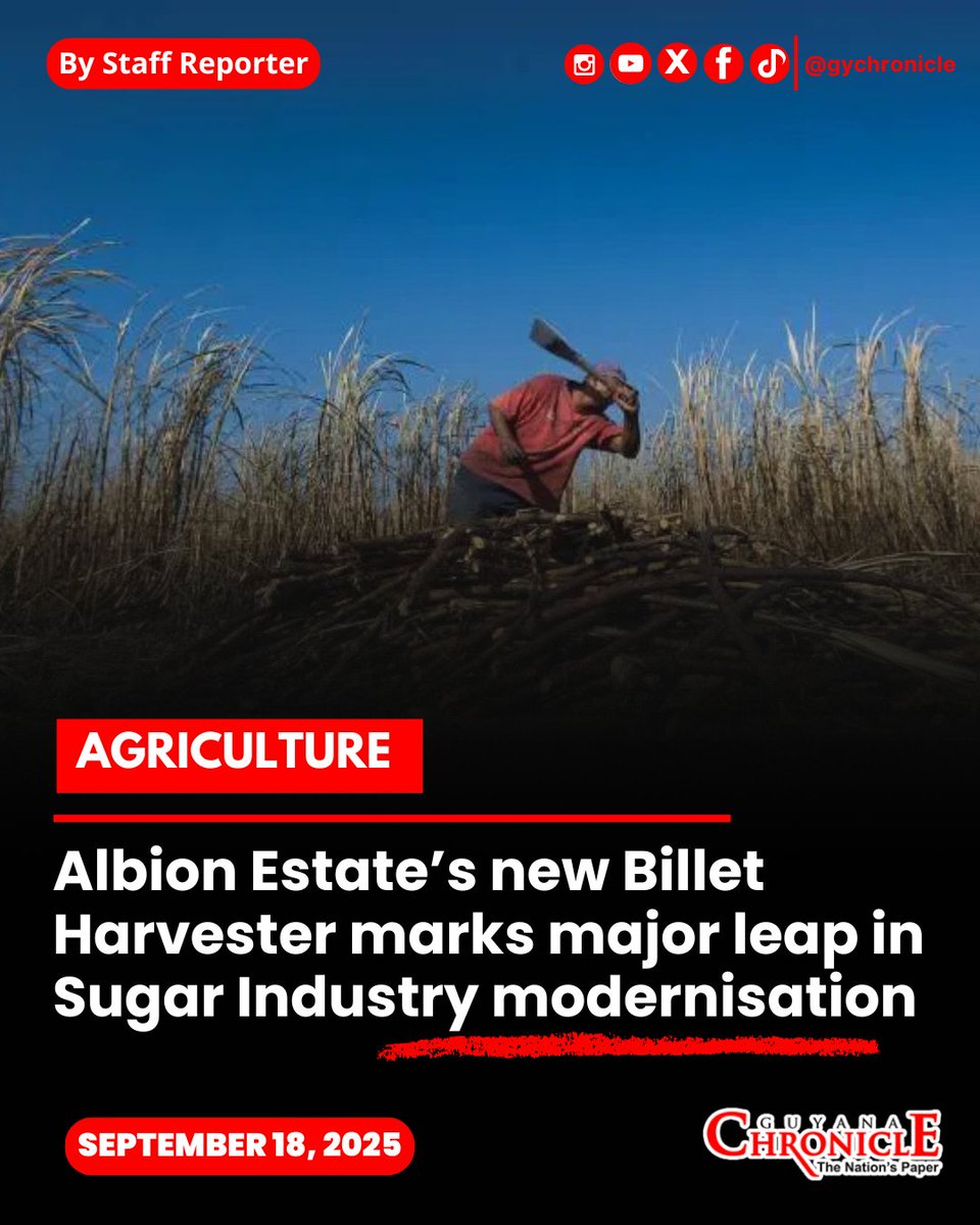 Guyana Chronicle (@gychronicle) on Twitter photo GuySuCo has announced a significant step forward in modernising its operations with the installation of a new billet harvester at the Albion Estate, a move expected to boost efficiency, productivity...
READ  HERE 📷 guyanachronicle.com/.../albion-est…
#Guyana #News #GuyanaChronicle GuySuCo has announced a significant step forward in modernising its operations with the installation of a new billet harvester at the Albion Estate, a move expected to boost efficiency, productivity...
READ  HERE 📷 guyanachronicle.com/.../albion-est…
#Guyana #News #GuyanaChronicle