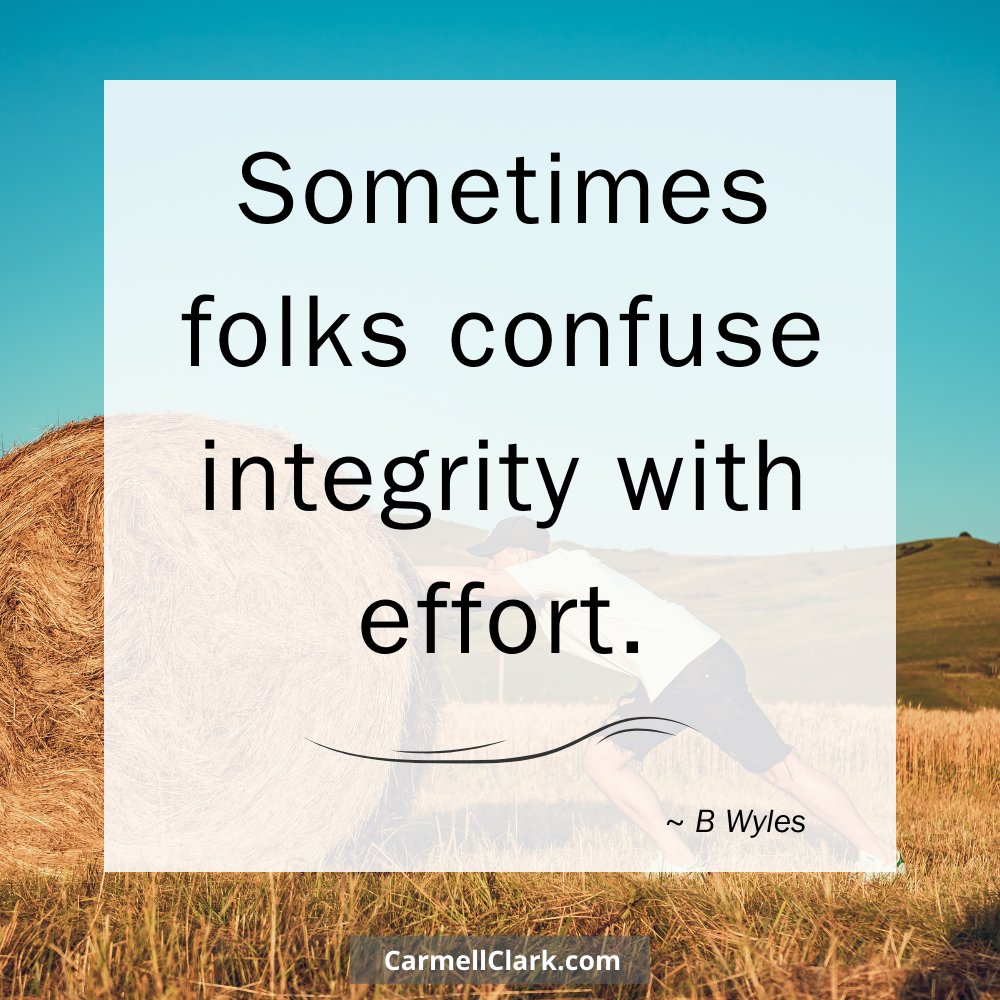 Integrity is not always effort- it is simply alignment. 

#coreselfdiscovery #integrity

carmellclark (dot) com