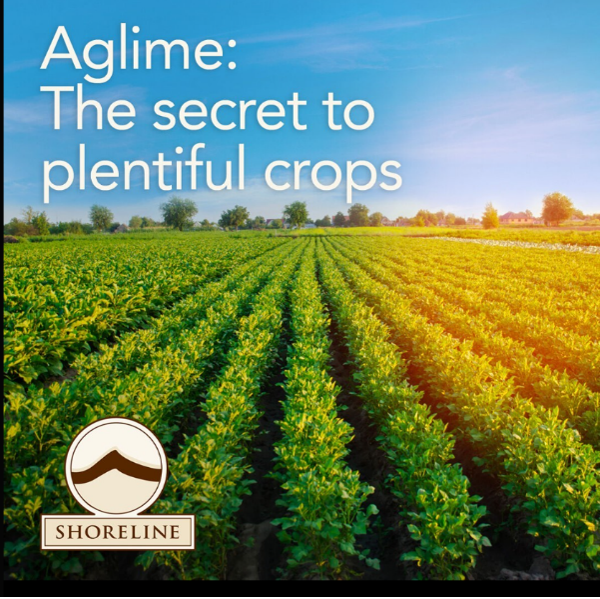 🌱 Stronger Soil. Healthier Crops. Better Yields. 🌱
Aglime (agricultural lime) is crushed limestone or dolomite that helps restore balance to your soil. Over time, fertilizers can make soil too acidic — limiting plant growth and reducing yields.
With aglime, you can:

 ✅