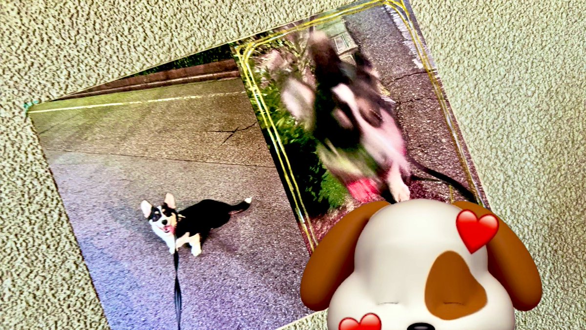 きゅうのすけ tweet media