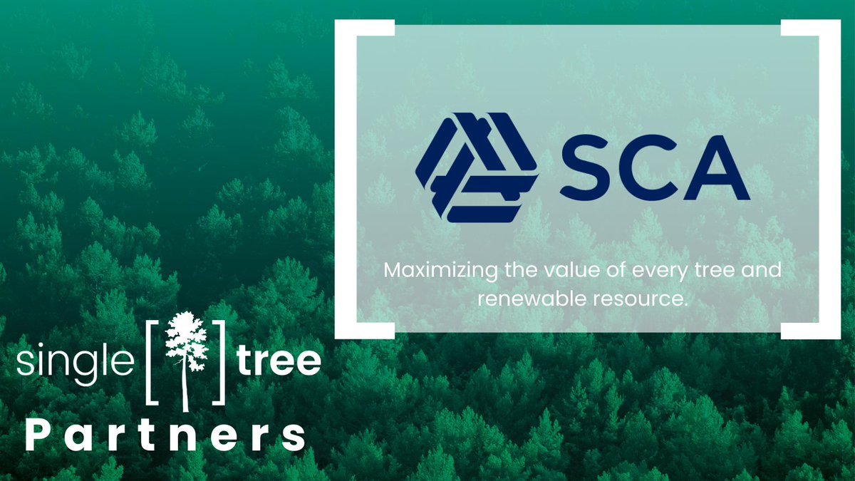 SingleTree_EU tweet media