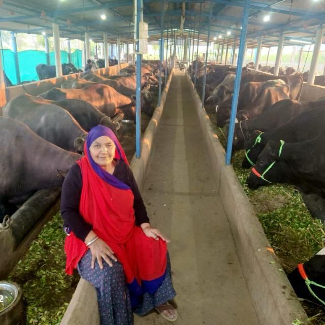 Harsh Sanghavi on X: "#Gujarat has become a leading state in the  cooperative sector across India. The state's animal husbandry farmers are  witnessing remarkable prosperity. Women are achieving self-reliance and  inspiring the