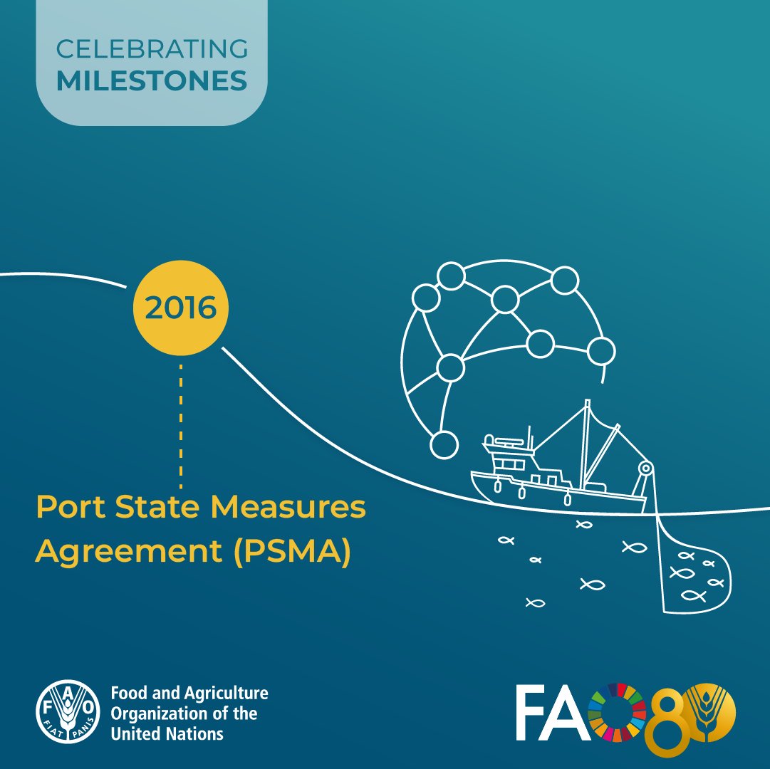 FAOfish's tweet image. 2⃣0⃣1⃣6⃣: #ThrowbackThursday to a major step towards #SustainableFisheries &amp;amp; a healthier Ocean: the entry into force of the #PSMA, the first binding global treaty to combat #IUUfishing.

As @FAO turns 80, we celebrate this achievement.

🔗 fao.org/port-state-mea…

#FAO80