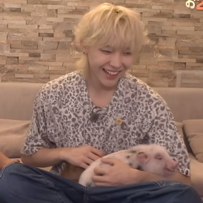 얘 돼지 아니야